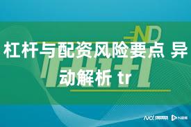 杠杆与配资风险要点 异动解析 tr